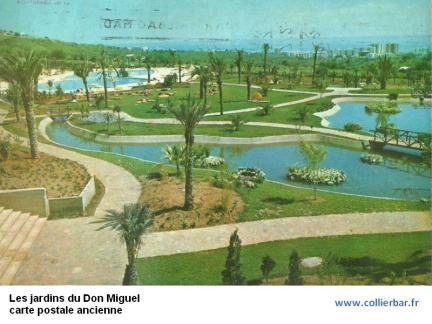 DMG-Jardin don miguel