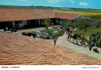 OTR-ranch1 (22186 visits) OTR-ranch1