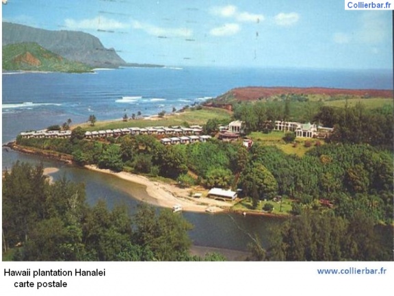 HHP-Hawaii plantatyion