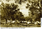 PAL-tentes (22080 visits) PAL-tentes