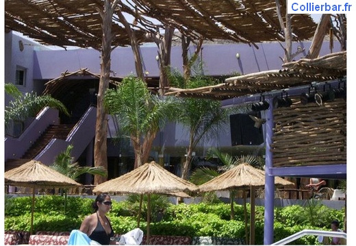 EIL - Eilat jardins (5558 visits) EIL - Eilat jardins
