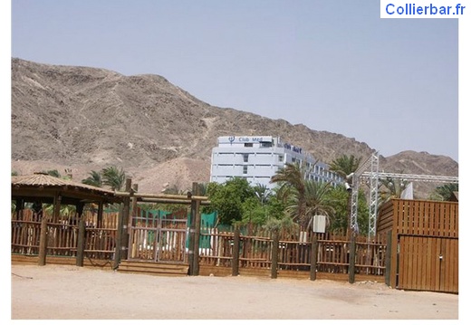 EIL - Eilat plageclub (5756 visits) EIL - Eilat plageclub
