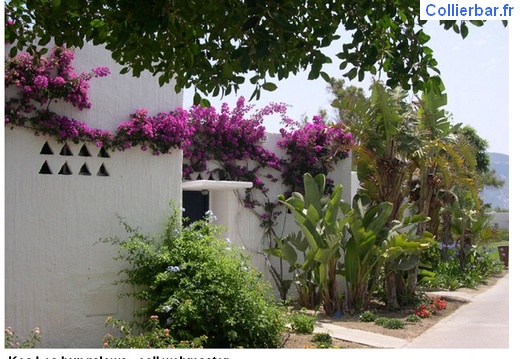KOS - Kosbungalows3 (6986 visits) KOS - Kosbungalows3