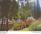IPS-agora98 (21856 visits) IPS-agora98