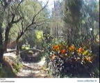 IPS-fleurs (22209 visits) IPS-fleurs