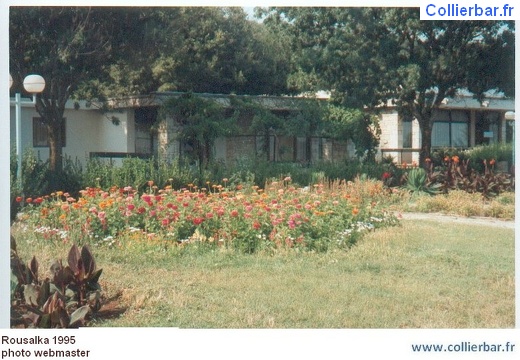 ROU-bungalow95 (6374 visits) ROU-bungalow95
