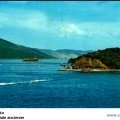 SVT-Baie