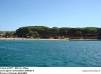 CAP-200715 (21536 visits) CAP-200715