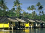 bora 05 (20232 visits) bora 05