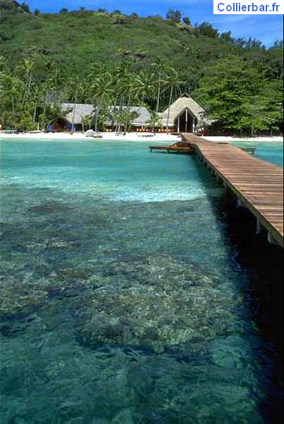 bora 16
