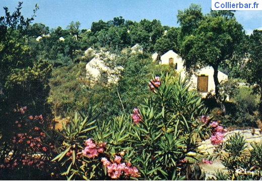 RES-Les bungalows / 3 (8901 visits, rating score 3.92) RES-Les bungalows / 3