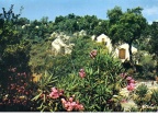 RES-Les bungalows / 3 (26279 visits, rating score 3.75) RES-Les bungalows / 3