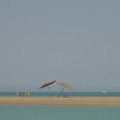 El Gouna parasols