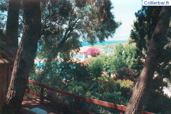 Aighion 1993 