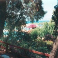 Aighion 1993 