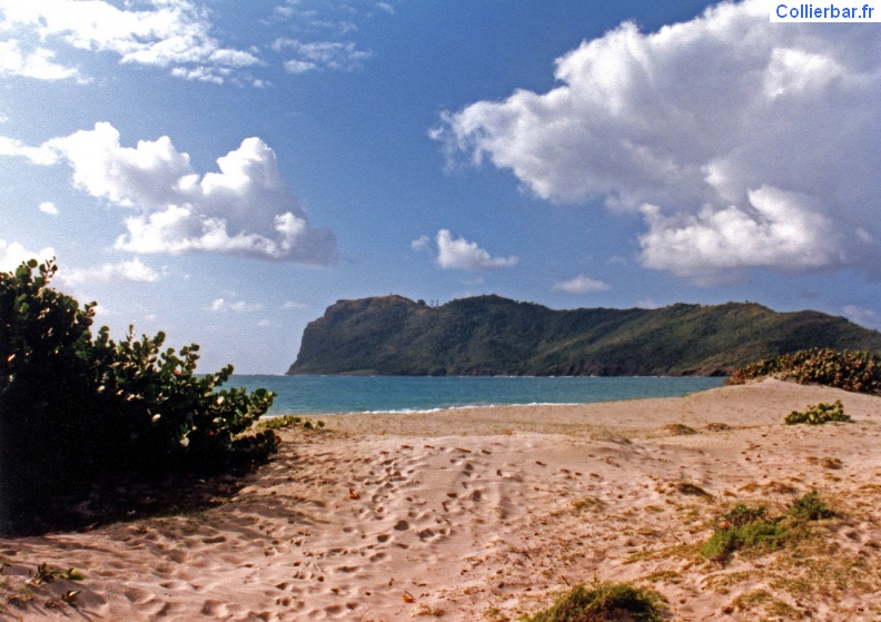 SLU-Plage.jpg