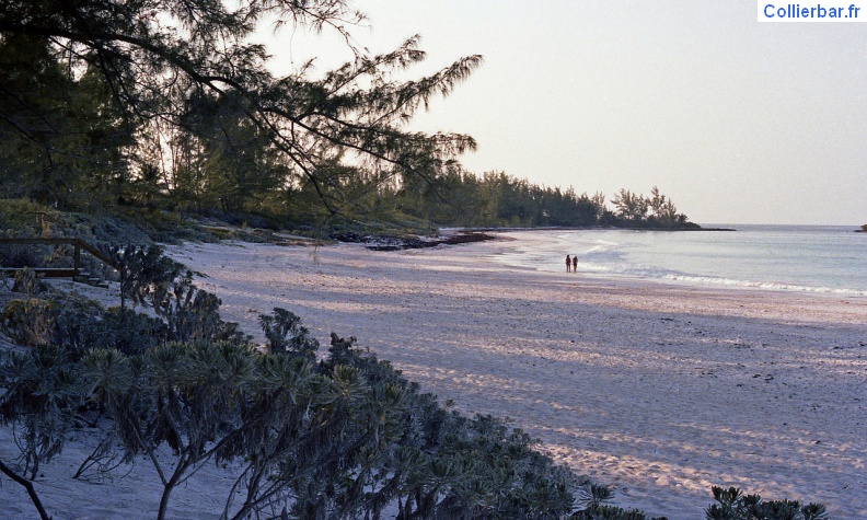 ELE-Plage soir.jpg