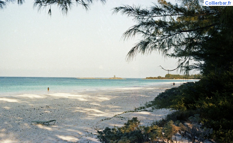 ELE-Plage.jpg