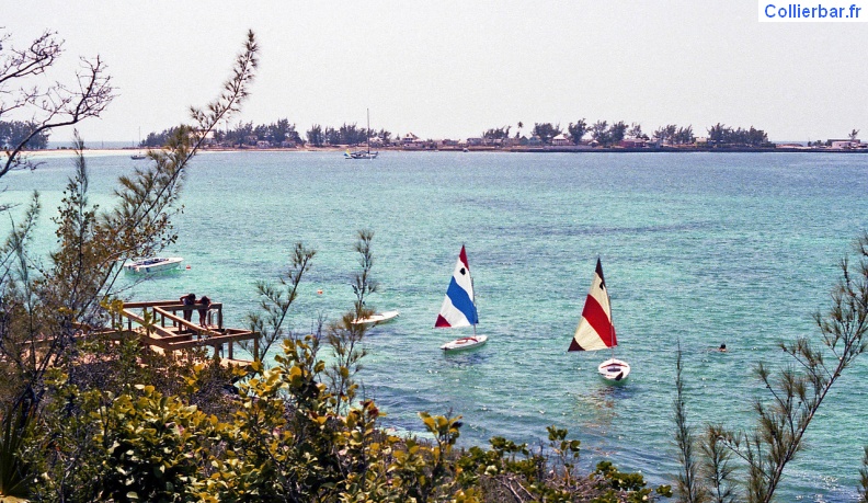 ELE-Voile3.jpg