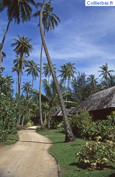 A l'intérieur du village (1996) MOO-village96.jpg