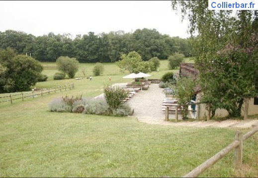 Pompadour le domaine (5379 visits) Pompadour le domaine