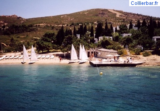 Foca voile 2 (5742 visits, rating score 4.25) Foca voile 2