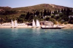 Foca voile 2 (21141 visits, rating score 3.88) Foca voile 2