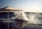 Foca vague (21989 visits) Une grosse vague !!
Foca vague