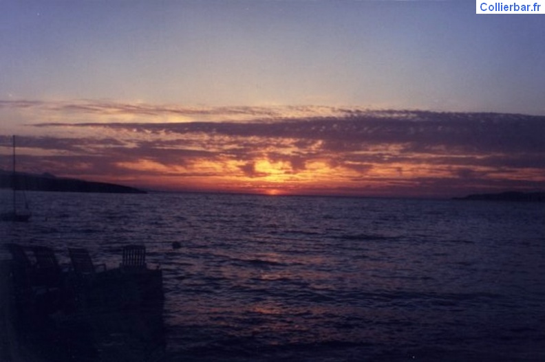 foca coucher soleil1.jpg
