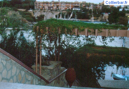 Assouan14-Départ (3601 visits) Villa Amoun - Année 2000
Départ vers le bateau navette Assouan14-Départ