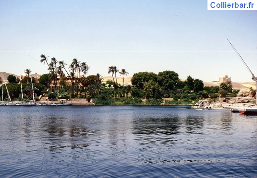 Assouan15-AuRevoir (3725 visits, rating score 3.89) Villa Amoun - Année 2000
Le départ Assouan15-AuRevoir