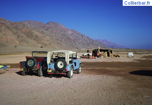 Equipe plongée aux Coraux avril à septembre 1976 (3939 visits) Go plongée avec hôtesse d'accueil Mazal et Christian Bor avec cocktail en main.
En plongée, il y... Equipe plongée aux Coraux avril à septembre 1976