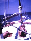 Les Odyssées Aghion 1976