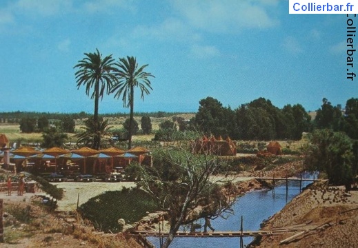 arziv en 1965 (1395 visits) arziv en 1965