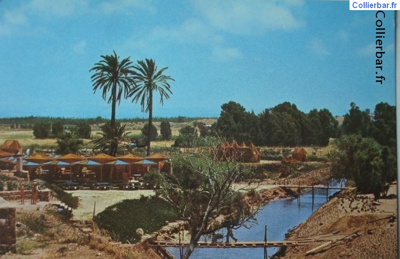 arziv en 1965.JPG