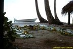 1963 - a Tahiti 07 (15020 visits) 1963 - a Tahiti 07