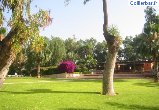 ranch 2005 (1321 visits) ranch 2005