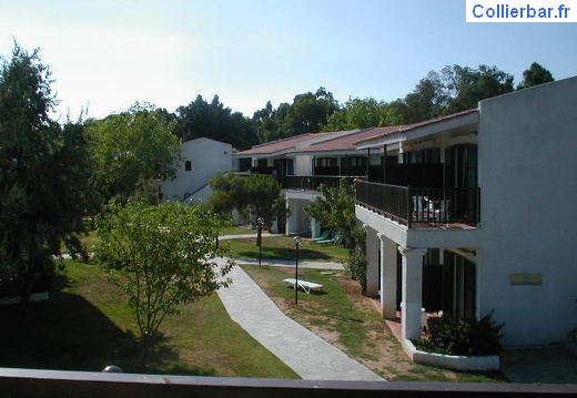 Athenia (1230 visits) Athenia