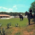 le  restaurant du ranch