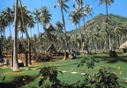 Moorea