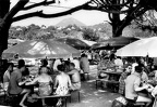 Santa Giulia le restaurant (18889 visits, rating score 3.31) Santa Giulia le restaurant Santa Giulia le restaurant