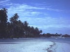 plage1 (17139 visits) plage1