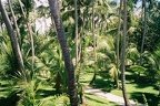 jardin (17176 visits) jardin
