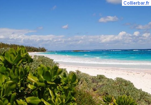 plage (634 visits) plage