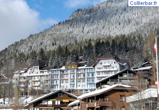 wengen h 1978/79 (225 visits)
wengen hiver 1978/79
wengen h 1978/79