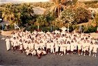 Equipe GO Santa Teresa 1988 (23384 visits, rating score 3.24) Equipe GO Santa Teresa 1988