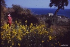 PICT0021 (22684 visits) PICT0021