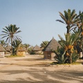 Djerba La Fidèle 10-1998