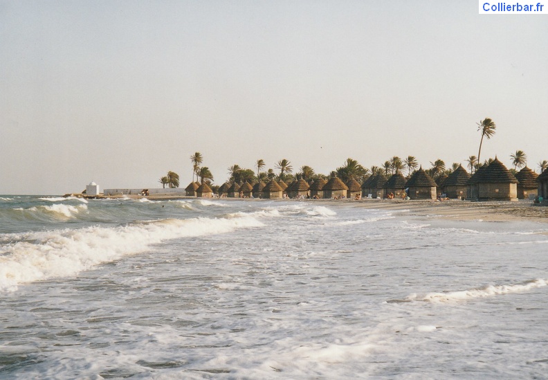 Djerba La Fidèle (1).jpg