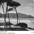 Baratti 1952